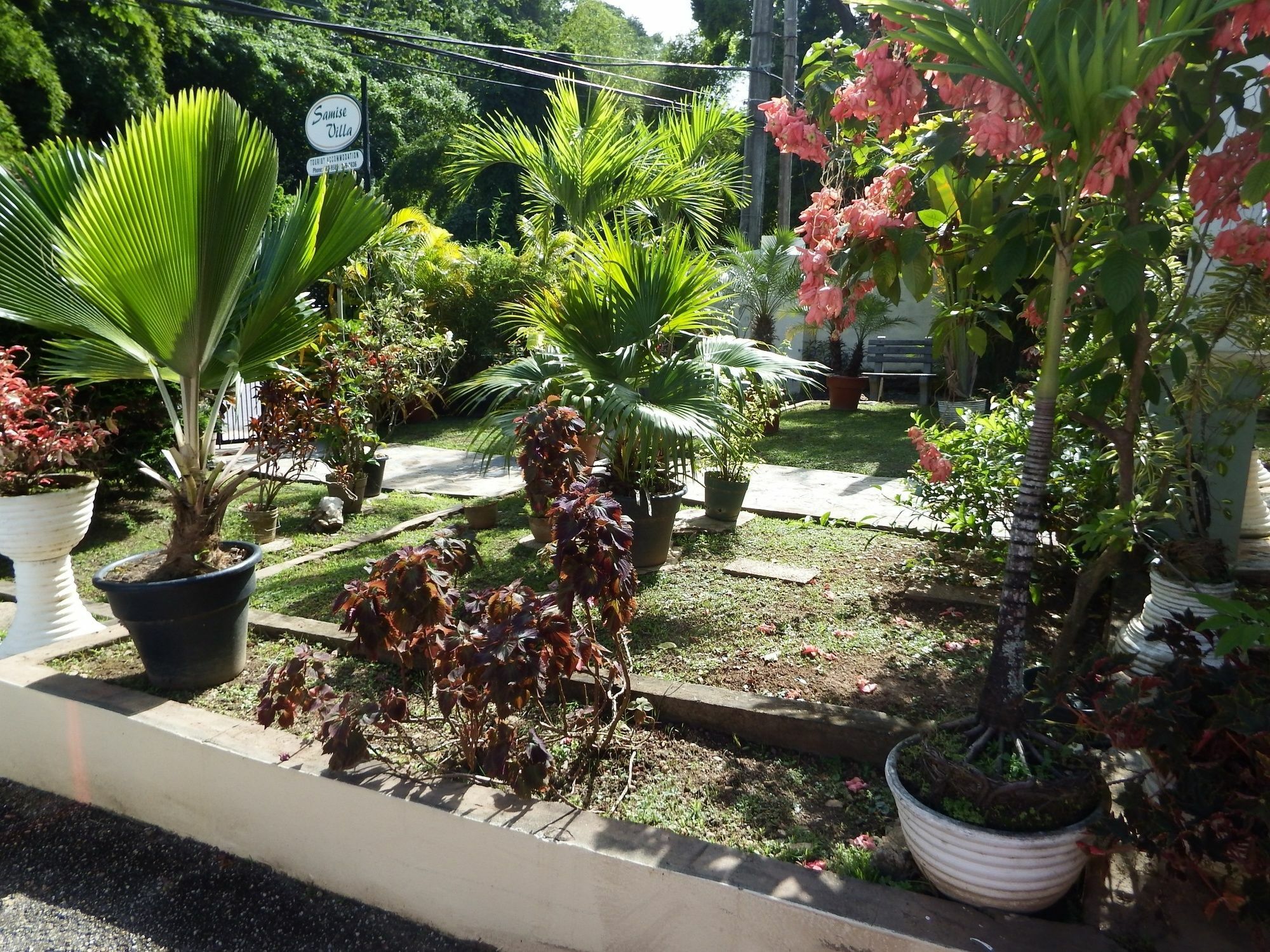 Samise Villa Bed And Breakfast Port of Spain Exterior photo